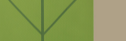 Green + Grey